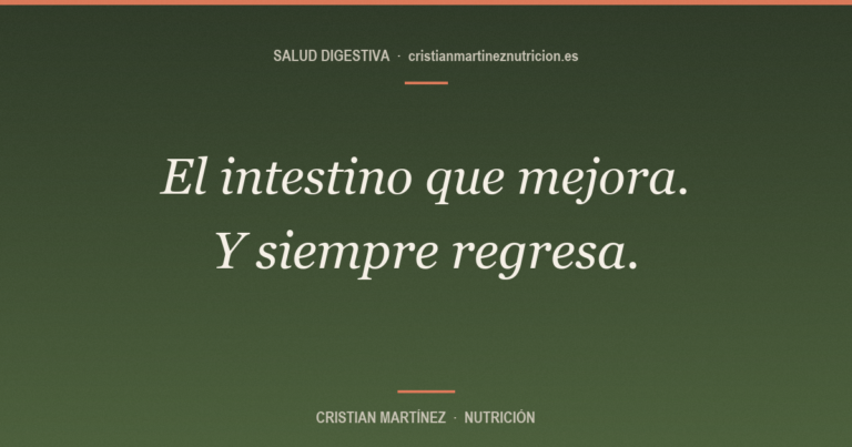 ¿Qué es el SIBO? Síntomas, diagnóstico y por qué muchas veces vuelve