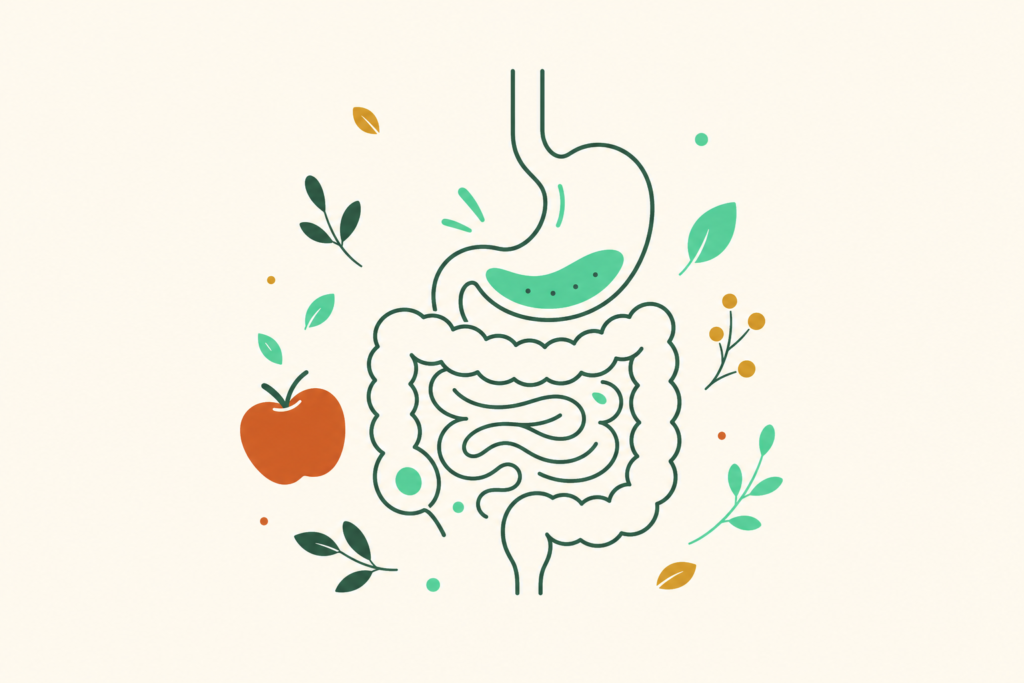 Ilustración del aparato digestivo con hojas y una manzana